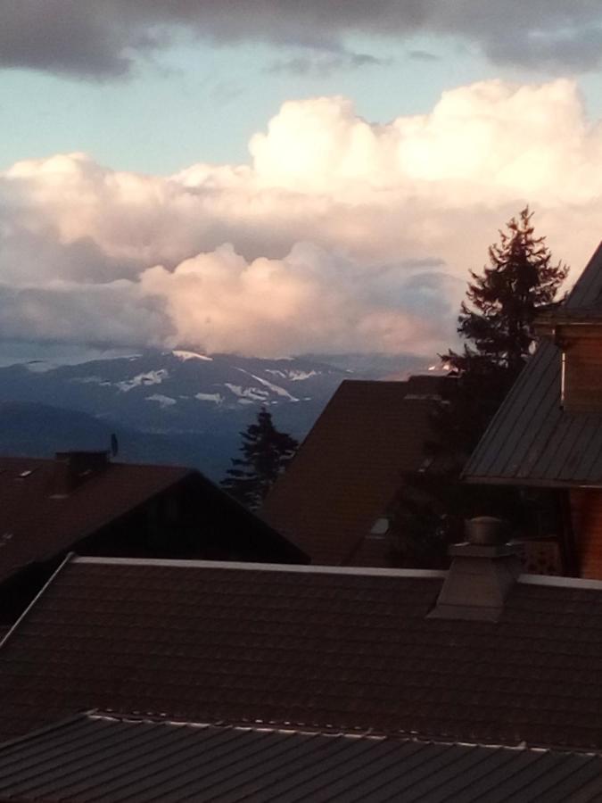 Superbe Appartement T2 3 Etoiles 40M2 Pied Des Pistes Vue Sur Le Lac Thollon-les-Memises Bagian luar foto