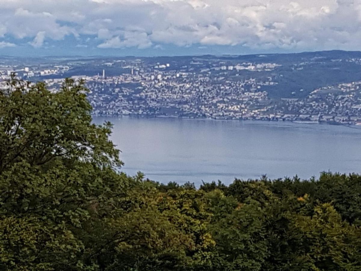 Superbe Appartement T2 3 Etoiles 40M2 Pied Des Pistes Vue Sur Le Lac Thollon-les-Memises Bagian luar foto